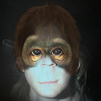 Monkey Matthijs